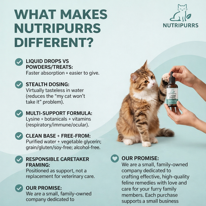 NutriPurrs™ L-Lysine Respiratory Support