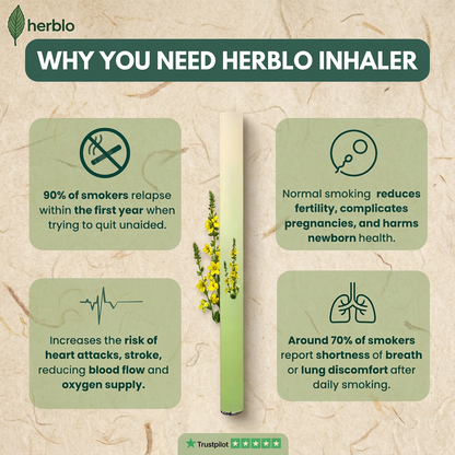 Herblo™ Mullein Breath Pen