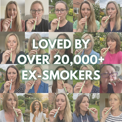 Herblo™ Mullein Breath Pen